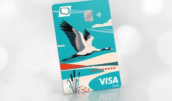 Visa Credit