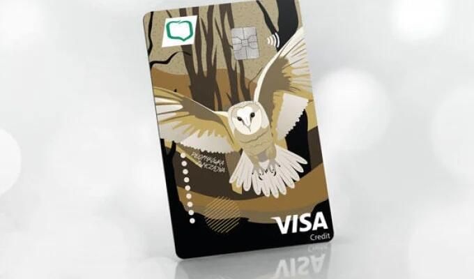 Visa Credit Gold